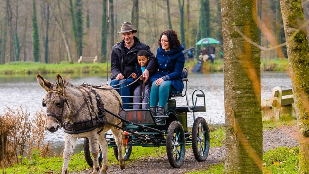 Balade avec des anes